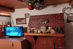 Villa Lara, Kopaonik