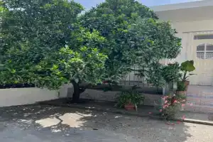 Rooms for rent habipi, Vlore