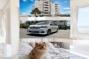 HOTEL PACIFIC VIEW Rental car included & pet-friendly, Okinawa City