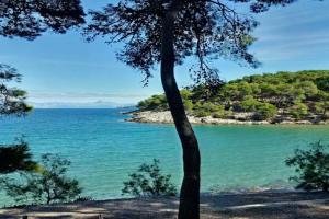 APARTMANI GOMILA, Jelsa
