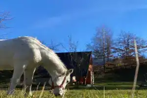 Eco kutak Guest house, Mojkovac