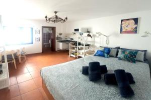 Casa Pescado y mariposas, Arrecife