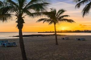 ALE´S HOUSE, Arrecife
