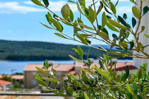Apartment Perlitto, Cerzo
