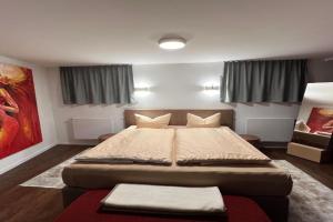Haus Pia Executive Suites, Friedrichshafen