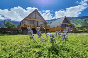 Cottage Carpe Diem, Kazbegi