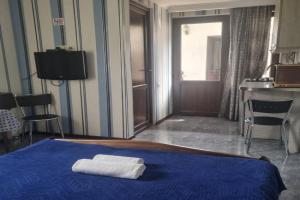 Guest house DAVID, Borjomi