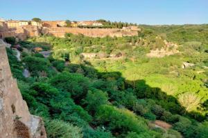 vista sulla vallata Apartments, Pitigliano