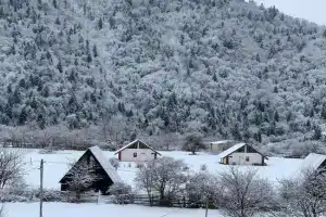 Green Mountain Apartments, Borjomi
