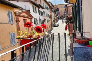 La Campanina-nel cuore di e della contrada, Siena