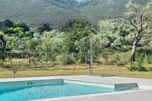 Splash Suites with Private Pools, Nikiana