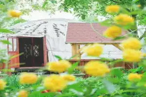 Jurta Guest house, Debrecen