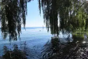 Ferienwohnung Seestraße Ost Apartments, Immenstaad am Bodensee
