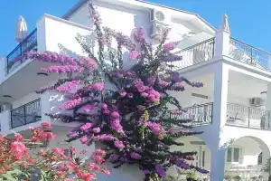 Apartments PROVA ****, Donja Lastva