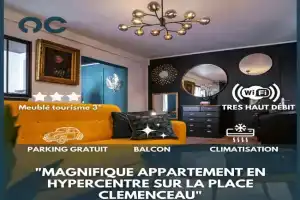 Au Palais des Pyrénées! Hyper centre -Clim-Balcon-Parking Gratuit Apartments, Pau