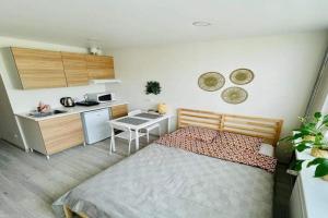 Taikos Studio 8,, free parking, Klaipeda