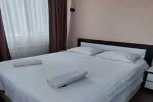 Cozy apartment in with beautiful view, Borjomi