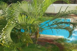 3 Bed Appartment Apartments, Pereybere