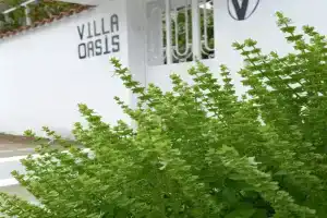 Villa Oasis, Berat