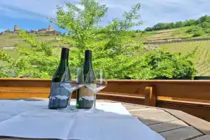 Ferienwohnung Herold Apartments, Alken