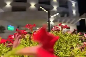 Hotel Porto A, Ulcinj