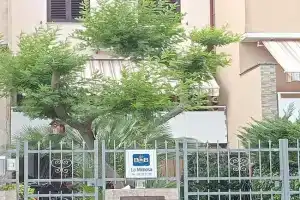 La Mimosa Mini-hotel, Porto Garibaldi