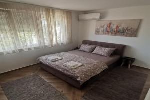 Nikolic apartment, Nis