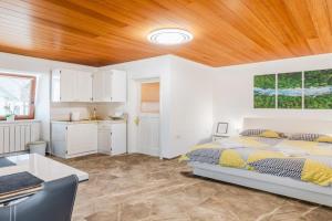 Apartmaji Mouse, Bovec