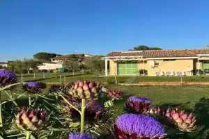Il giardino di nunzia Farm, Grosseto
