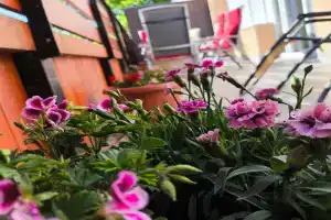 100 lépés - 100 steps - Apt with huge terrace next to the thermal bath Apartments, Harkany