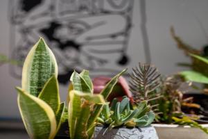 MeMeraki Artist Residency Guest house, Limassol