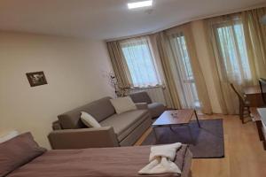 Family Studio 302, Villa park, Borovets