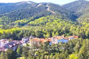 Borovets Ski&Spa Studio - Semiramida Garden A16, Borovets