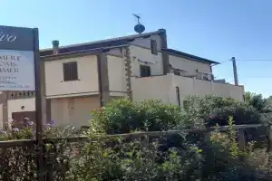 Agriturismo IL VECCHIO OLIVO Farm, Castagneto Carducci