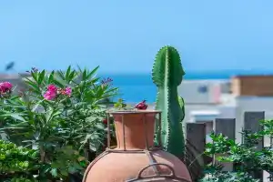 Anza surfhouse, Agadir