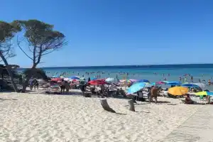 Appartamento Isola Catalana Apartments, Alghero