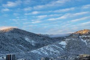 Woodland Guest house, Borjomi