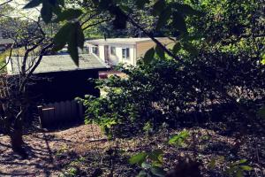 Heerlijk bos chalet met ongekende rust en vrijheid, Nunspeet