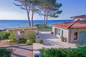The Red Mullet House, Procchio
