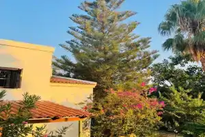 Rose of Crete Apartments, Maleme