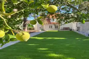 Das "Sommerhaus" in Guest house, Bingen am Rhein