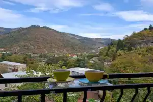 Borjomi Nest 1 Guest house, Borjomi
