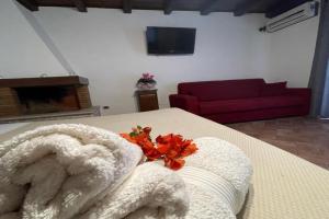 La CASETTA di Antonietta Apartments