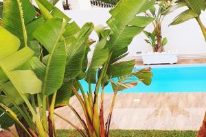Maison plain-pied avec piscine chauffée Villa, Carthage