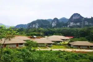 The Liveliwoods Guest house, Khao Sok