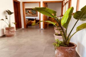 appart lumineux Apartments, Essaouira
