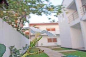 The Anchorage Holiday Apartments -, Negombo