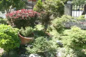 Neilis Apartments, Siviri