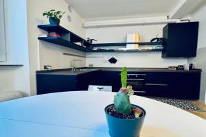 WANDERLUST Splendido appartamento in centro Apartments, Pavia