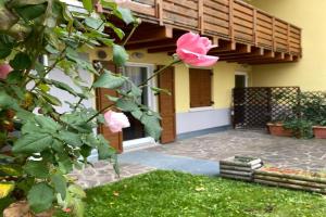 APPARTAMENTO ELISA Apartments, Levico Terme